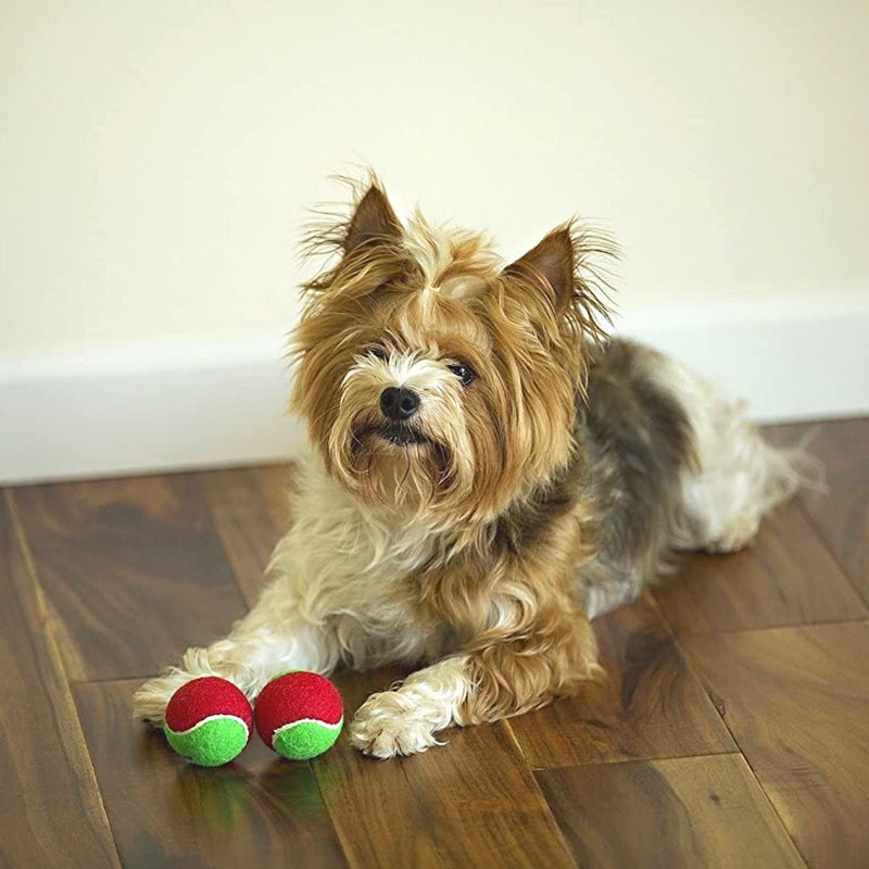 Midlee 1.5" Mini Squeaker Christmas Dog Tennis Balls - Red/Green Pack of 12 - Image 5